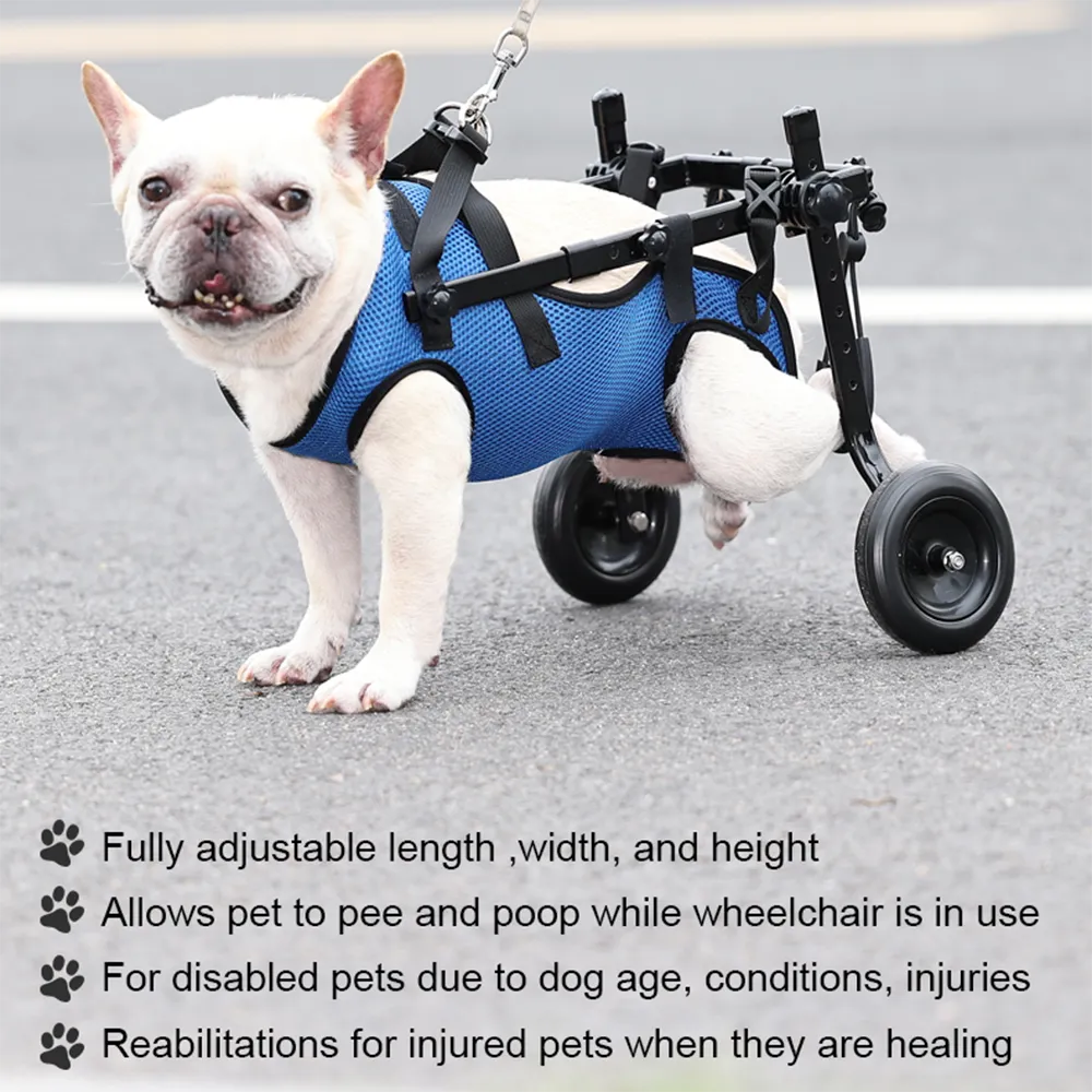 Adjustable Dog Wheelchair with Hind Leg Support