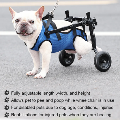 Adjustable Dog Wheelchair with Hind Leg Support