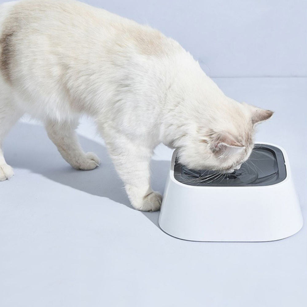 No-Spill Dog Water Bowl with Floating Disk – 1.5 Liter
