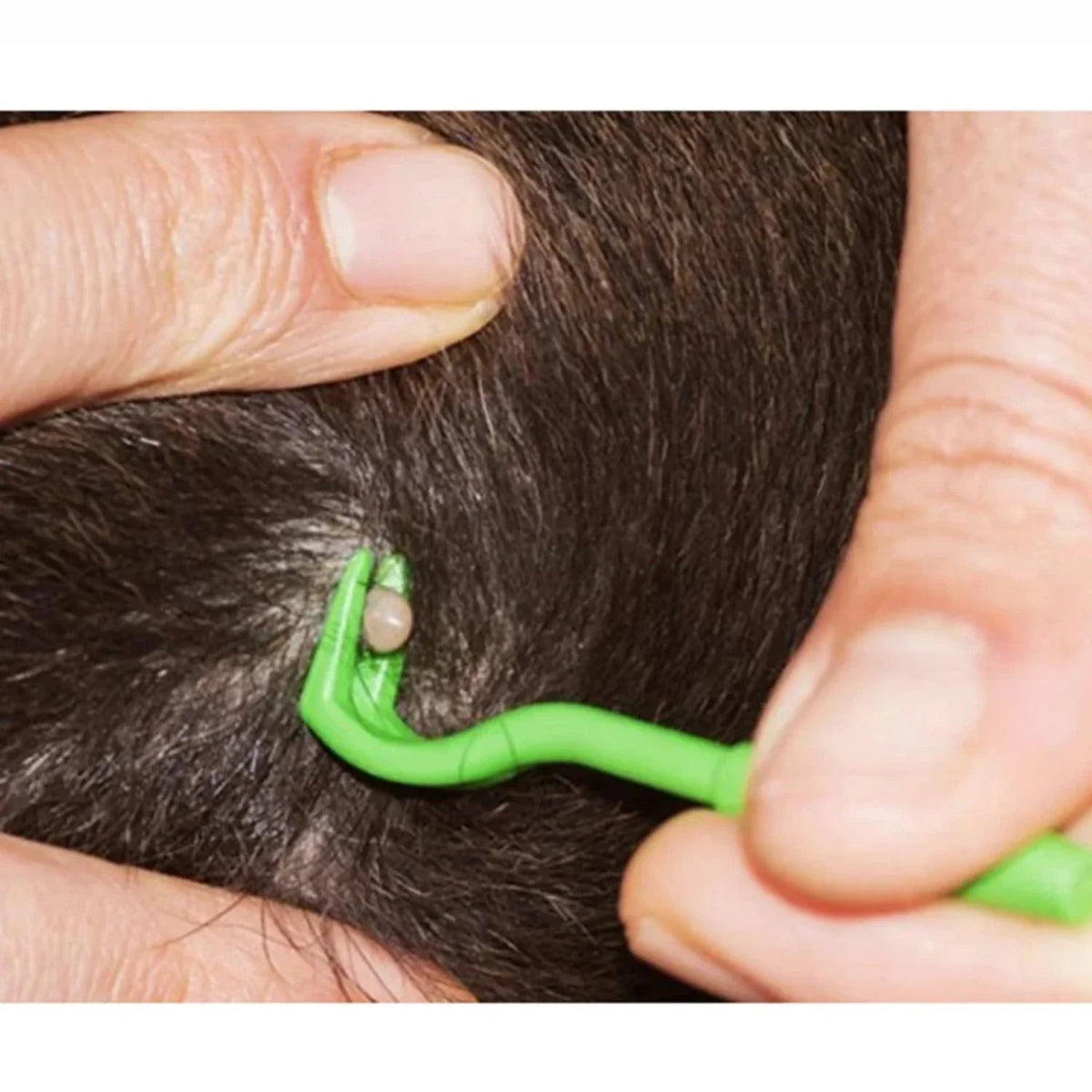 Tick Remover Tool for Dogs and Cats – Easy Twist Removal