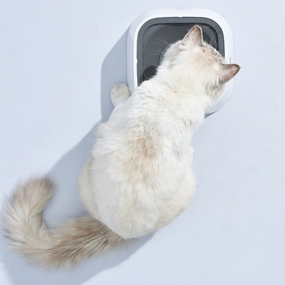 No-Spill Dog Water Bowl with Floating Disk – 1.5 Liter