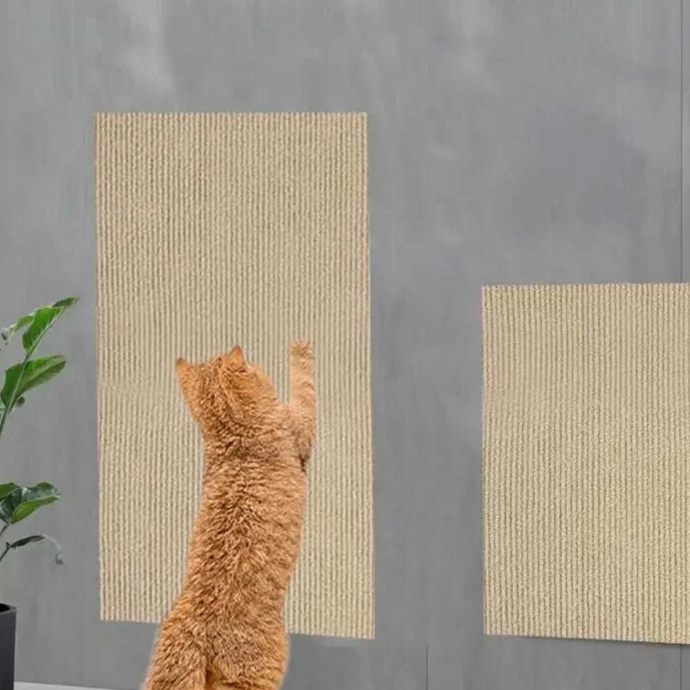 Cat Scratch Couch Protector – Clear Furniture Guard Mat