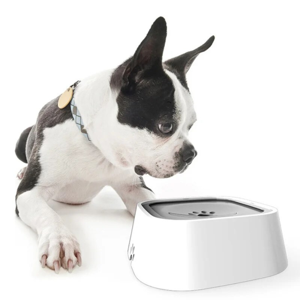 No-Spill Dog Water Bowl with Floating Disk – 1.5 Liter
