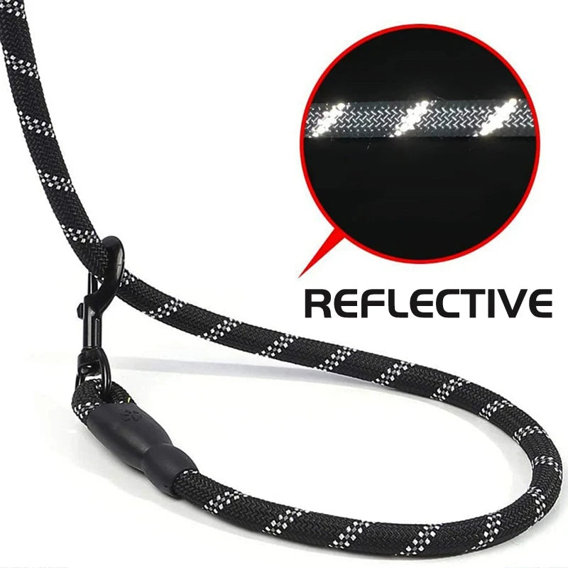Padded Handle Dog Leash – Reflective Lead for Night Walks