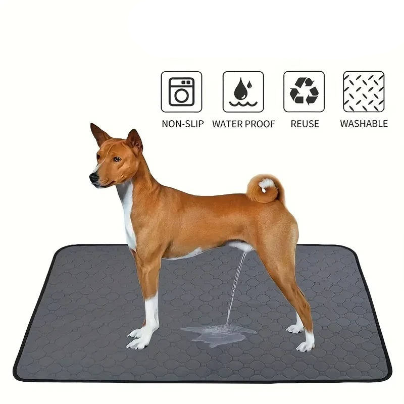 Washable Dog Pee Pads – Reusable Absorbent Training Pads
