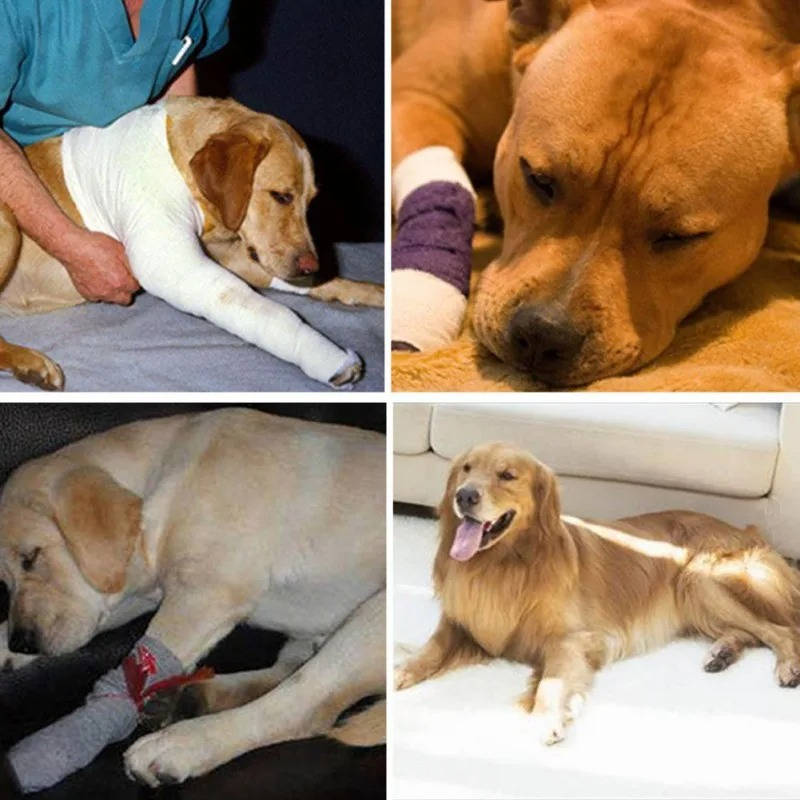 Dog Ankle Support Brace with Reflective Strips