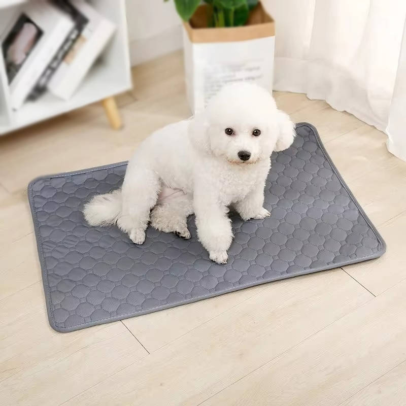 Washable Dog Pee Pads – Reusable Absorbent Training Pads