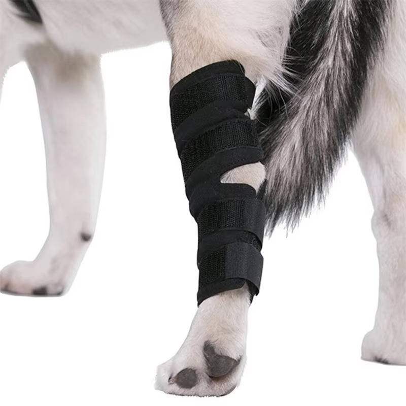 Dog Ankle Support Brace with Reflective Strips