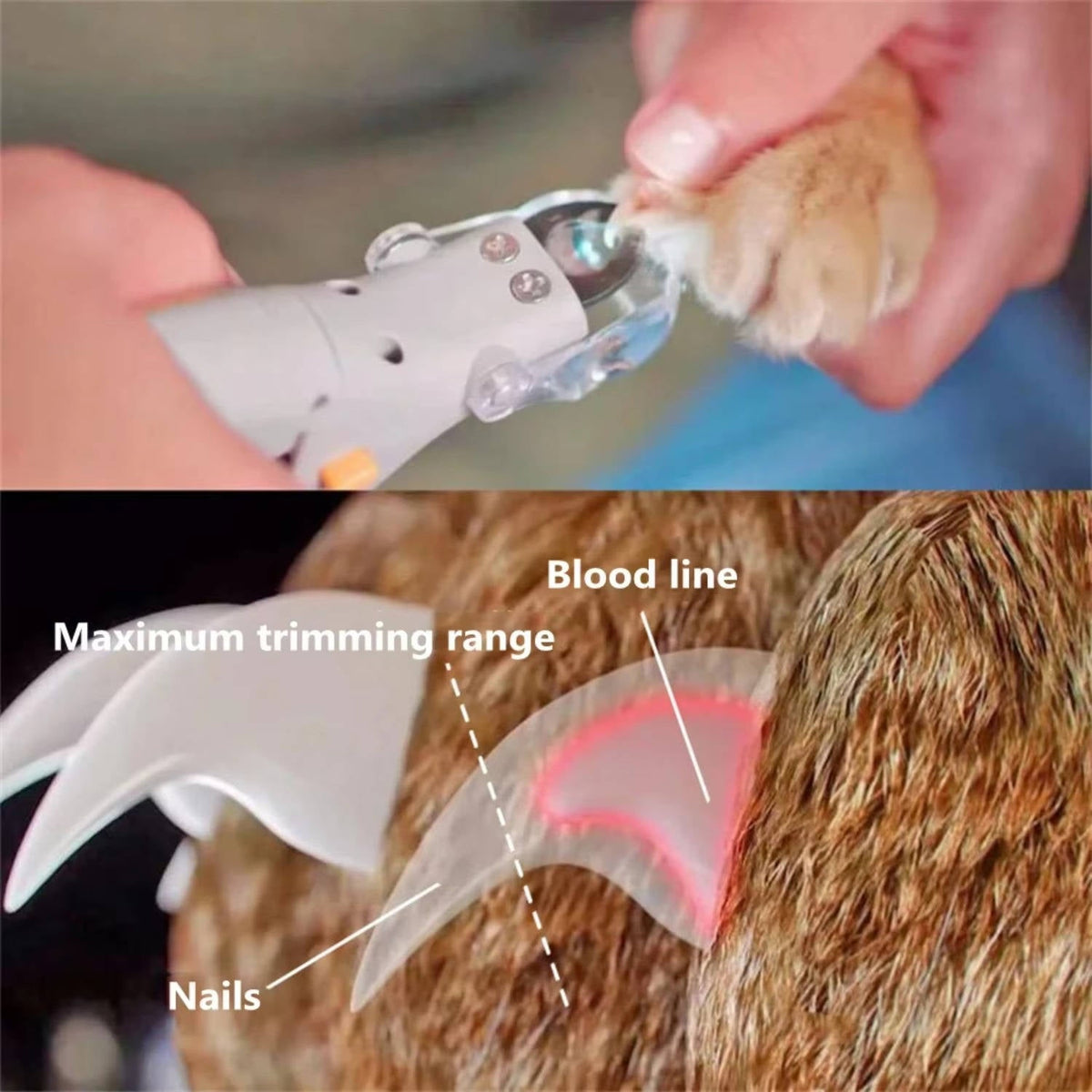 Pet Nail Clipper with LED Light – Safe Trimming for Dogs and Cats