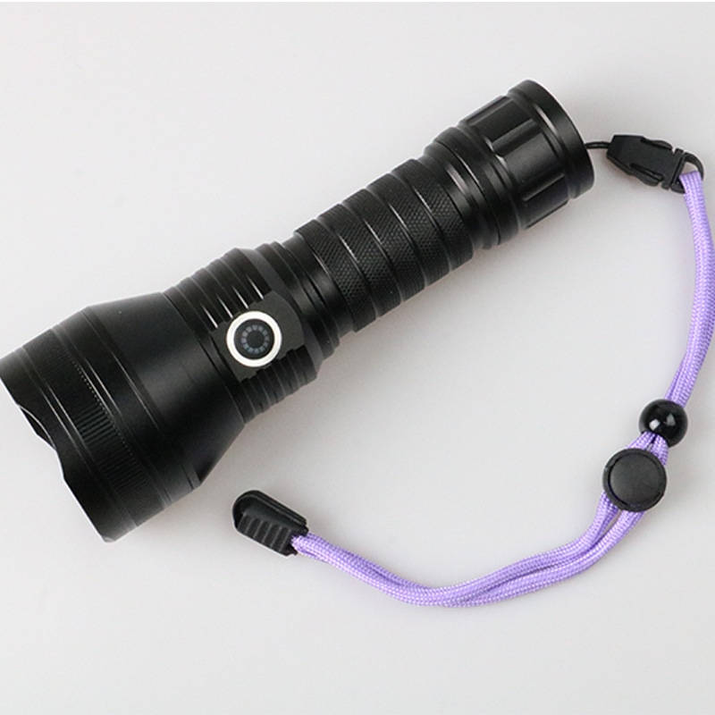 UV Blacklight Pet Urine Detector Flashlight