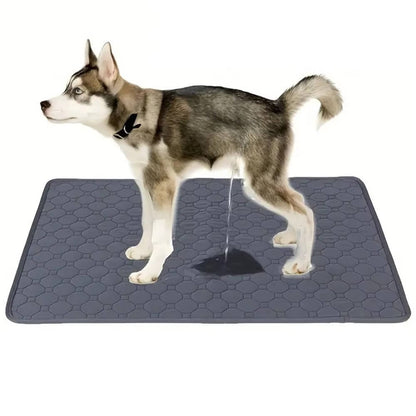 Washable Dog Pee Pads – Reusable Absorbent Training Pads
