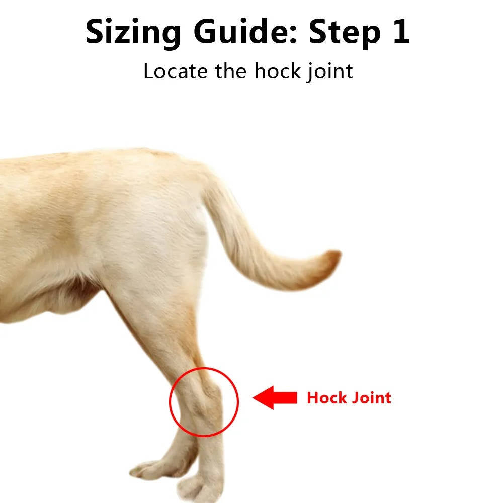 Dog Ankle Support Brace with Reflective Strips