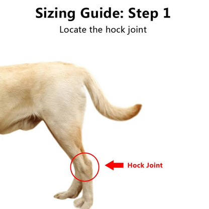 Dog Ankle Support Brace with Reflective Strips