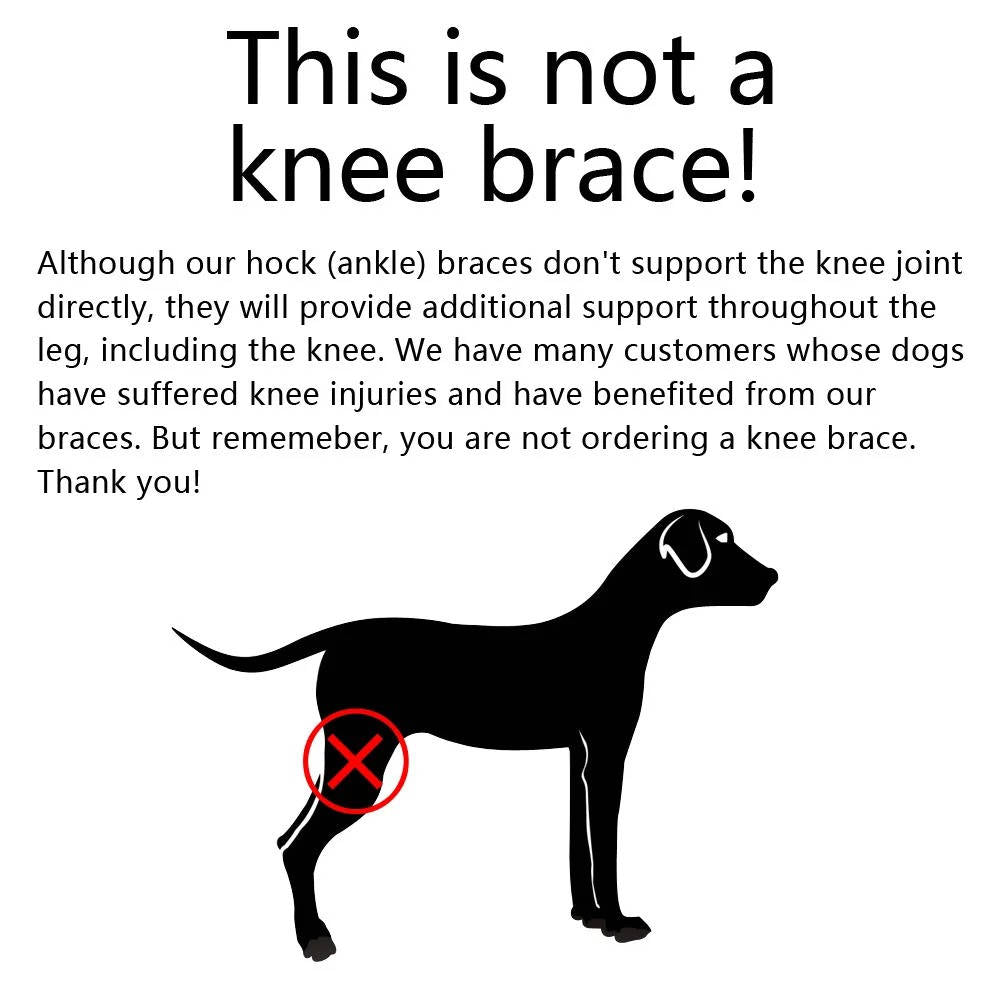 Dog Ankle Support Brace with Reflective Strips