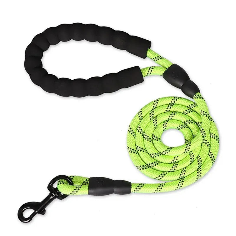 Padded Handle Dog Leash – Reflective Lead for Night Walks