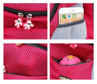 Pet Carrier Backpack for Small Dogs and Cats