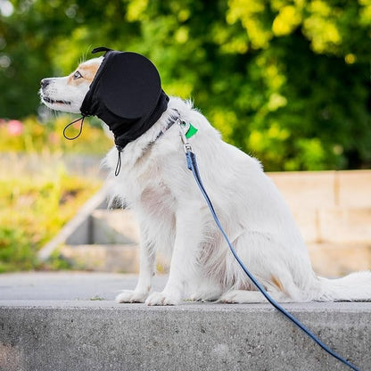 Noise Reducing Dog Ear Muffs with Fleece Hood