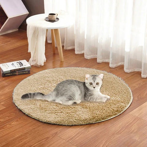 USB Heated Pet Pad – Warm Cushion for Cats and Small Dogs