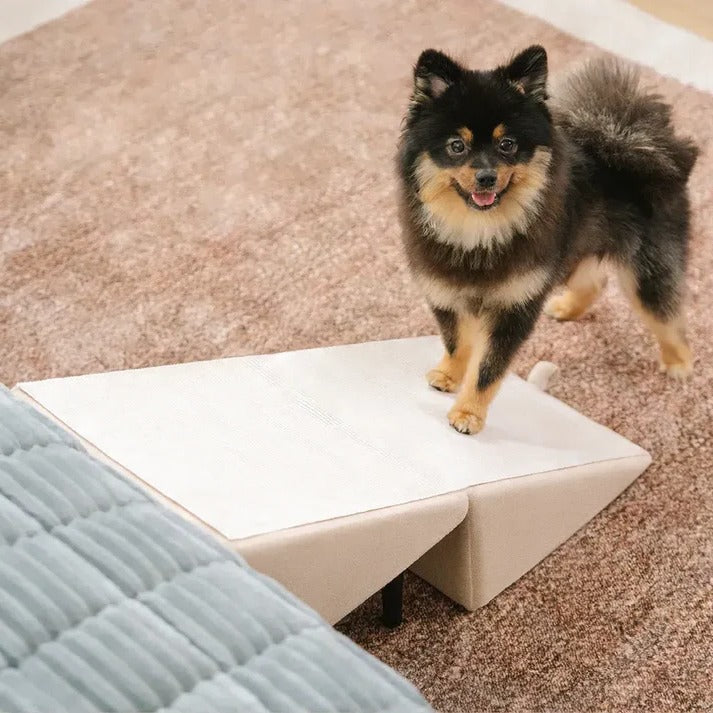 Dog Ramp for Bed and Couch – Convertible Padded Pet Ramp