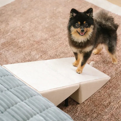 Dog Ramp for Bed and Couch – Convertible Padded Pet Ramp