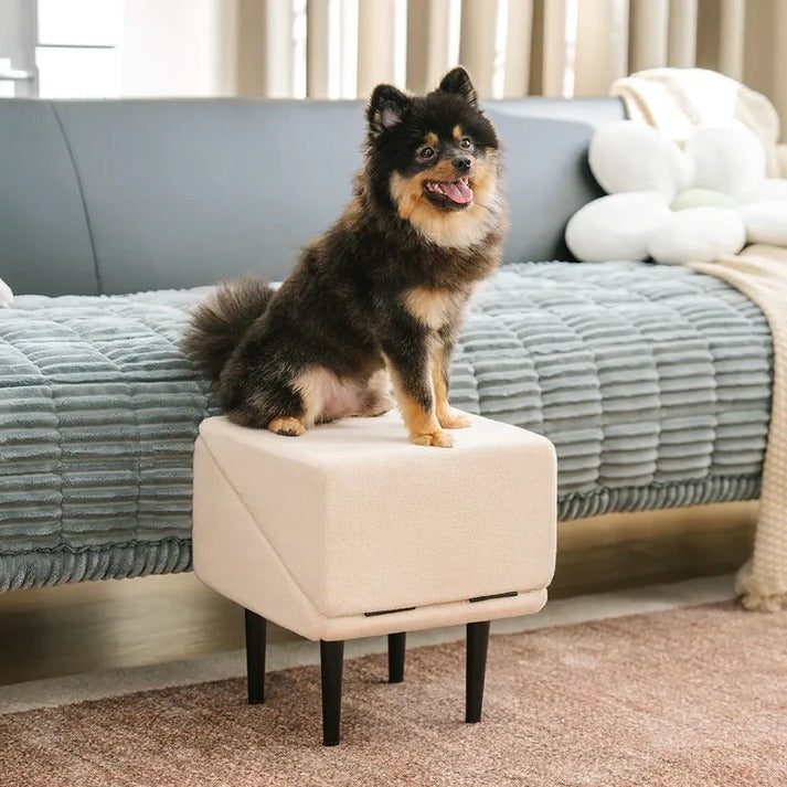 Dog Ramp for Bed and Couch – Convertible Padded Pet Ramp