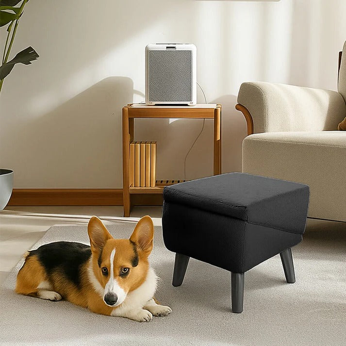 Dog Ramp for Bed and Couch – Convertible Padded Pet Ramp