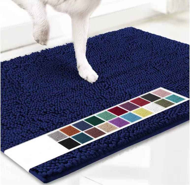 Absorbent Non-Slip Door Mat – Indoor and Outdoor Mud Mat