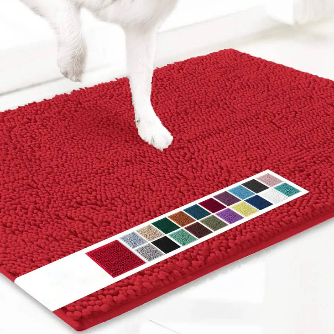 Absorbent Non-Slip Door Mat – Indoor and Outdoor Mud Mat