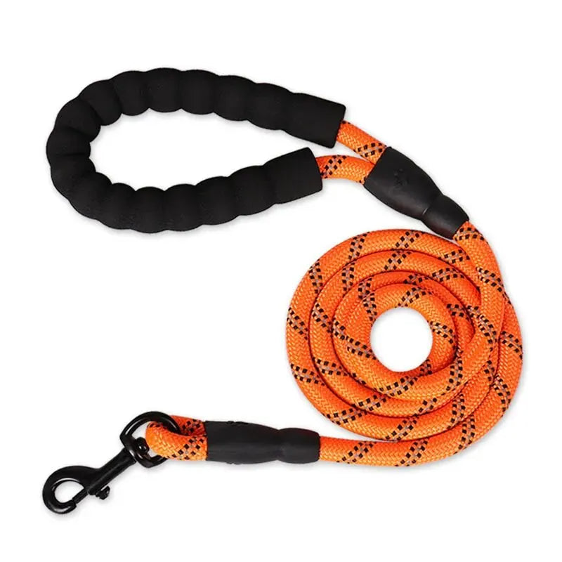 Padded Handle Dog Leash – Reflective Lead for Night Walks