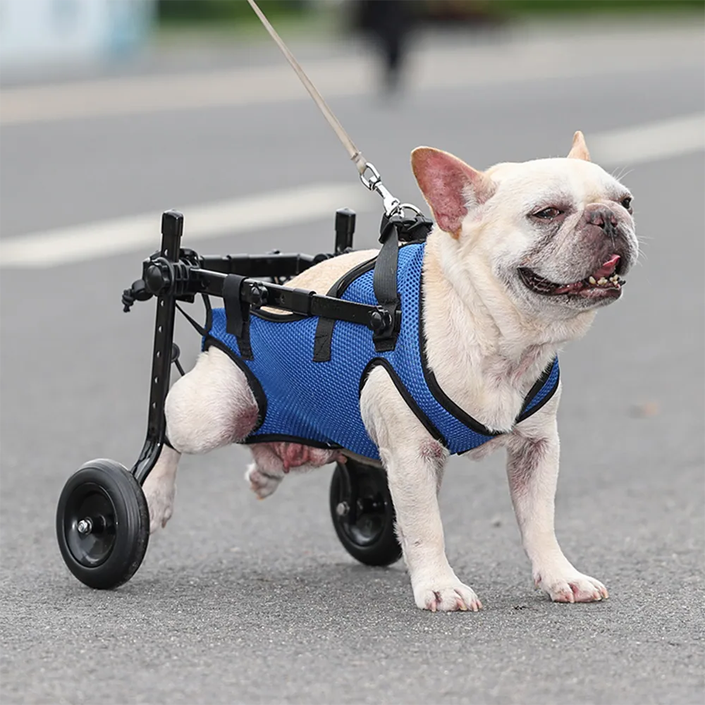 Adjustable Dog Wheelchair with Hind Leg Support