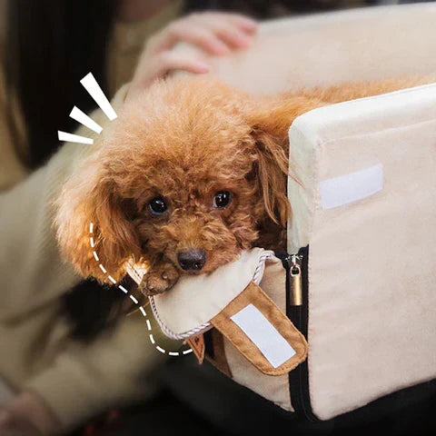 Pet Car Armrest Seat for Small Dogs and Cats